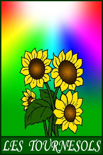 logo_tournesol_banner logo_tournesol_banner